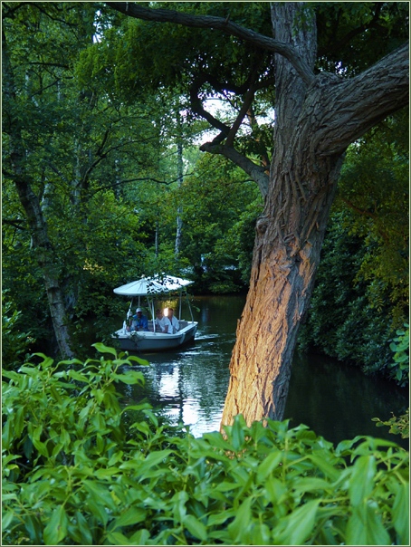 Bij avond vaart een gondel tussen de bomen door. -|- Foto: Friso Geerlings  het WWCW 2006