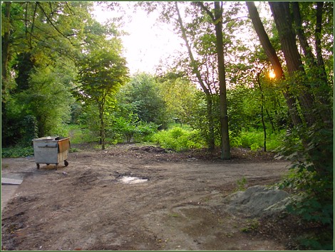 Uitbreidingsgebied Sprookjesbos voor de komst van 'Het Meisje' -|- Foto: Friso Geerlings  het WWCW 2005