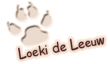 Loeki de Leeuw