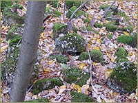 Foto: Friso Geerlings, © 2003 Het Wonderlijke WC Web