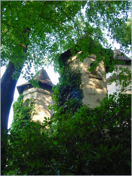 Het kasteel van Doornroosje tussen groene zomerbladeren -|- Foto: Friso Geerlings  Het WWCW 2004