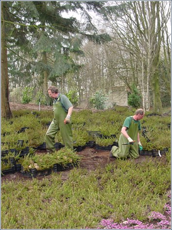 De omgeving van het Heksenpad in aanleg -|- Foto: Friso Geerlings  Het WWCW 2005