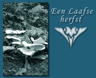 Een Laafse herfst - logo -|- foto: Friso Geerlings (c) het WWCW 2002