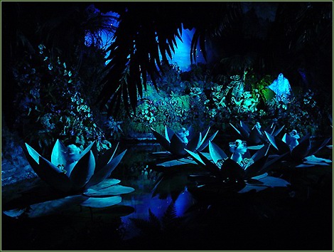 De vijver in het oerwoud, waar de feen dansen in hun lelies. -|- Foto: Friso Geerlings  het WWCW 2005