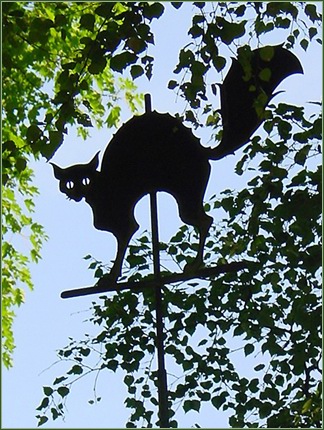 Een valse kat als windvaan -|- Foto: Friso Geerlings  het WWCW 2005